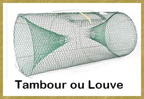 Tambour ou Louve - 